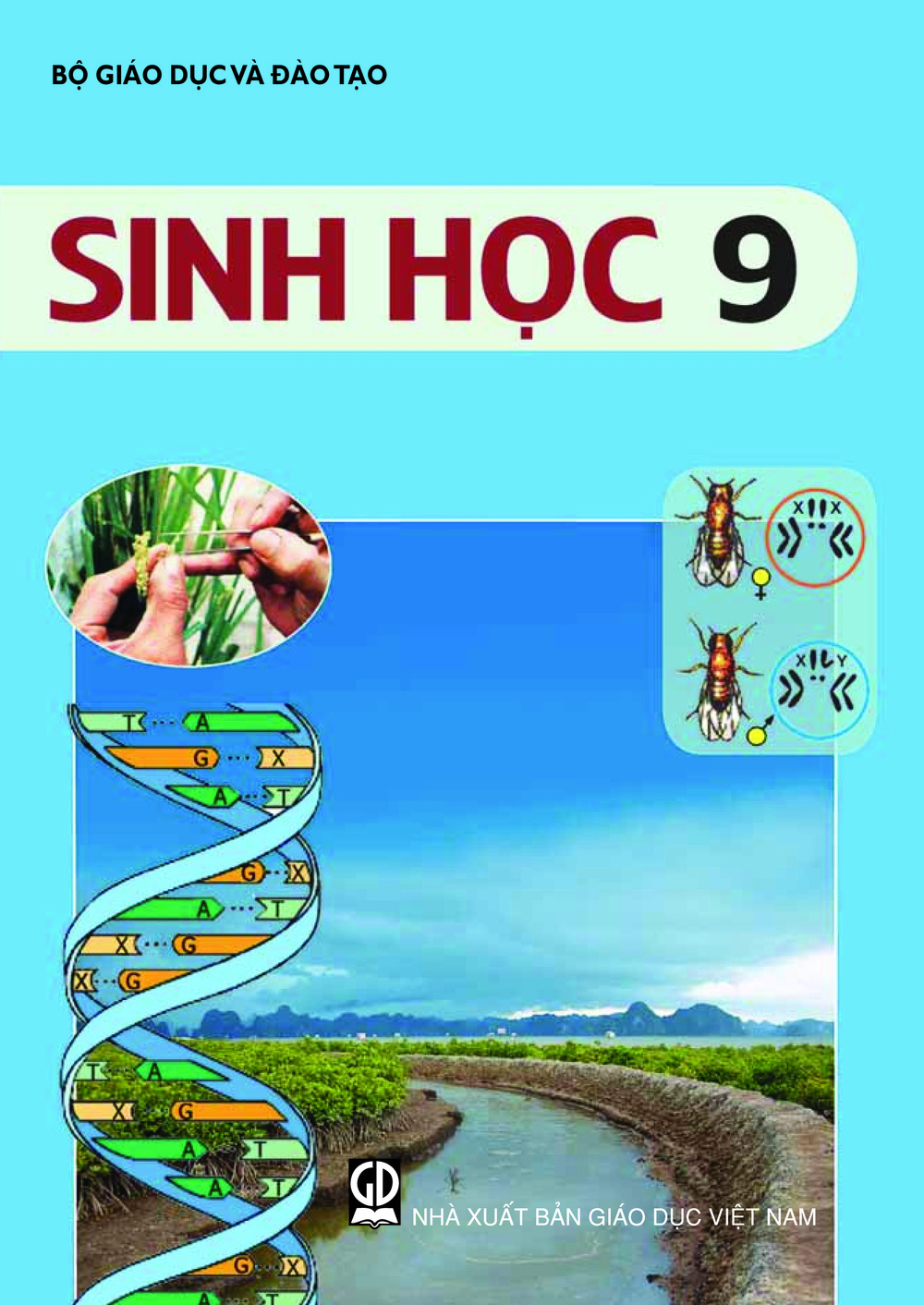 Download Sinh học 9 - chuẩn